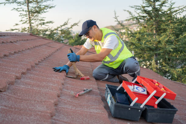 Sealant for Roof in Lynnwood, WA